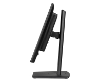 IIYAMA ProLite XB2492HSU-B1 - 1361884 - zdjęcie 5